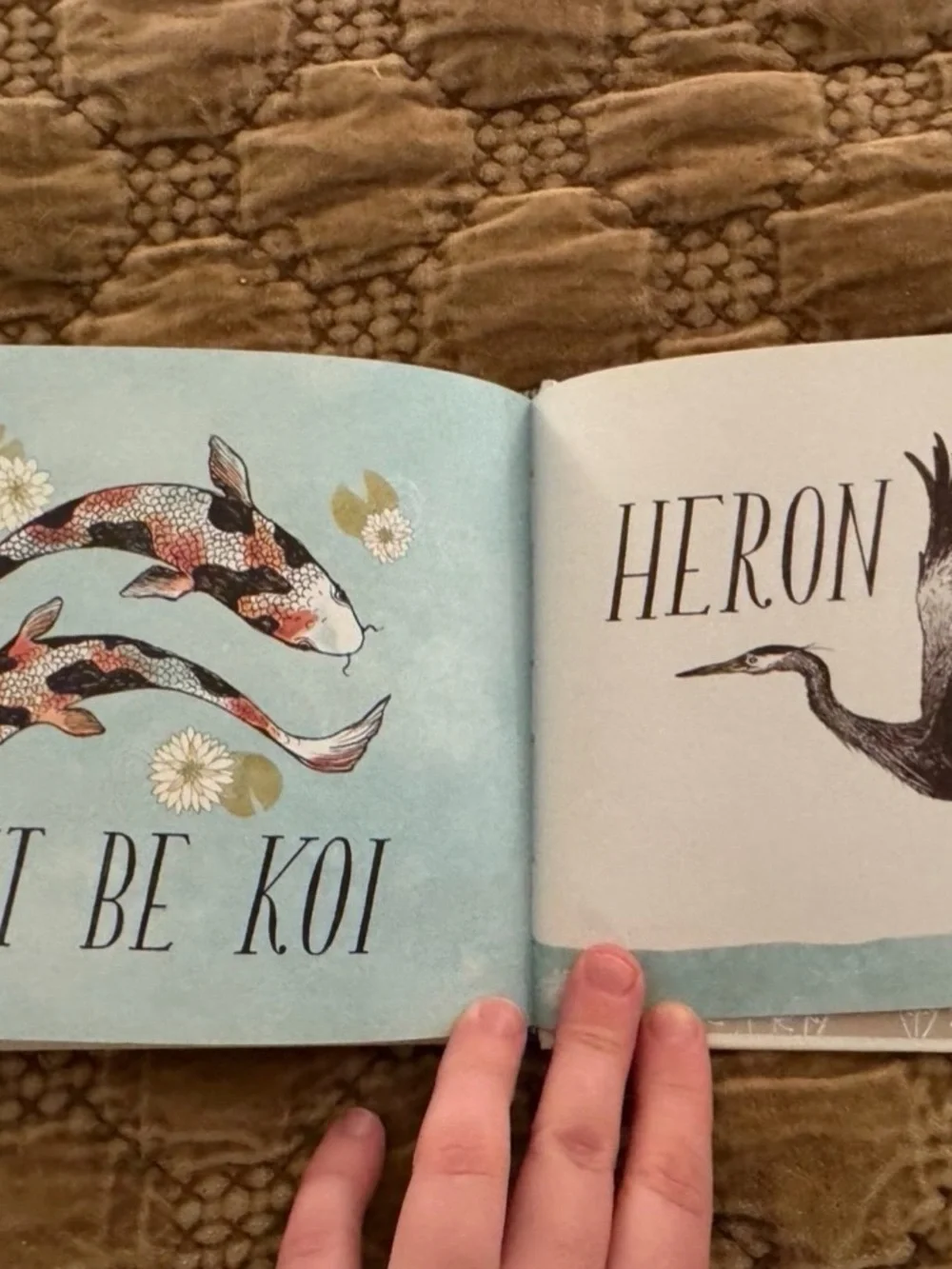 Have A Little Pun Illustrated Book - Whale Cover